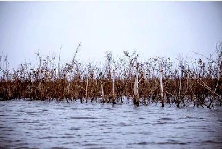 Дзен глубоководной рыбалки: Обретение покоя на открытой воде