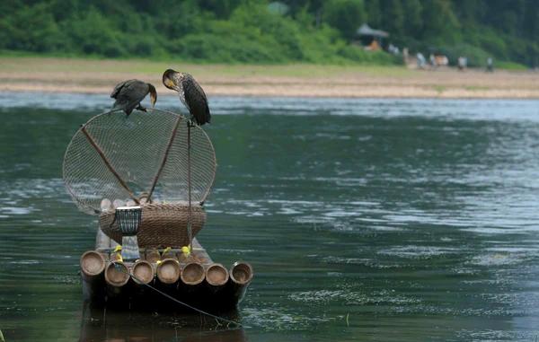 ### Корректировка условий чистой воды